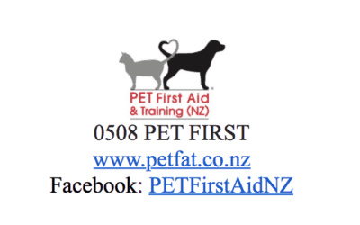 PET First Aid Course