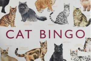 Cat Bingo @ Neko Ngeru Cat Adoption Cafe | Lower Hutt | Wellington | ニュージーランド
