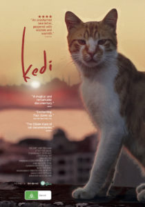 Movie Night - KEDI - @ Neko Ngeru Cat Adoption Cafe | Lower Hutt | Wellington | ニュージーランド