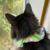 Bird Alert Collar - Image 5