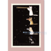 Poster (Pottering Cat) - Image 3